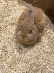 -Zoolung Zoolung动物主题公园(海信广场店)