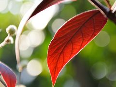 DSC_3428-广州锦绣香江度假别墅