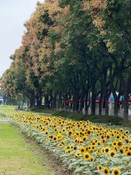 -玄武湖景区-情侣园游乐场