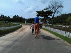 -松山湖梦幻百花洲
