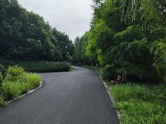 -昆山城市生态森林公园