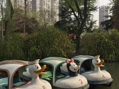 -西苑公园
