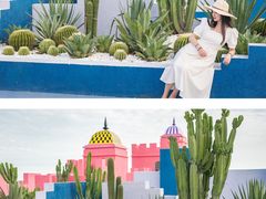 -漳州滨海火山岛自然生态风景区