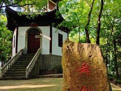 -上海佘山国家森林公园天马山园