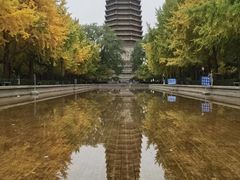 -玲珑塔公园