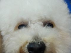 -宠颐生中康贝怡动物医院
