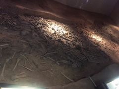 -侵华日军南京大屠杀遇难同胞纪念馆