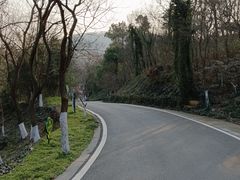 -南京老山国家森林公园
