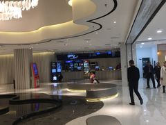 -保定金棕榈先天下国际影城(LUXE)