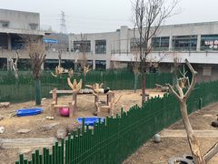 -沈阳森林动物园