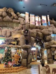 -卡通尼·Safari非洲探索乐园·生日会(金桥国际商业广场店)