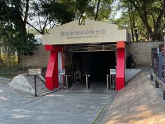 -福田红树林生态公园