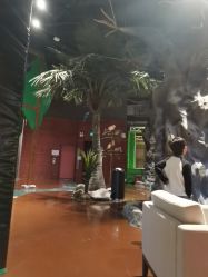 -奇幻丛林(佛罗伦萨小镇店)