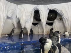 -太平洋海底世界