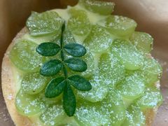 青葡萄挞-漫笙舍Manse·咖啡·民宿