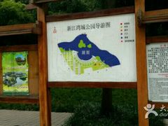 -新江湾城公园
