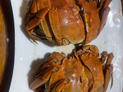 -呼吸森林·生态农庄农家乐私房菜