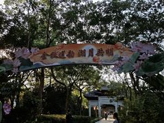 -西湖游船