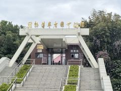 -古车博物馆
