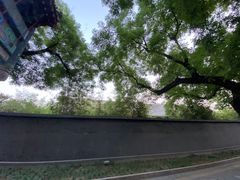 -北京国子监胡同