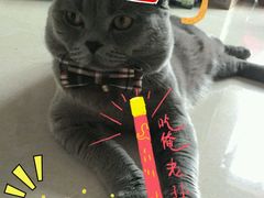 -瑞派天宁宠物医院·猫科·异宠中心
