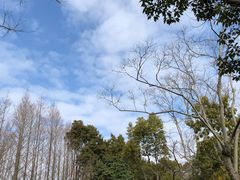-上海怡沁园度假酒店