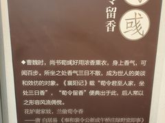 -香市公园-中国沉香文化博物馆