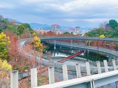 -福道