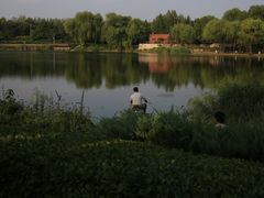 -北坞公园