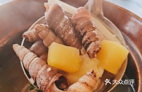 Special Clay Pot Snail