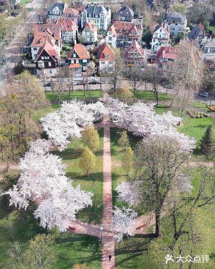 因而该市在语言和文化上兼有法国和德国的特点