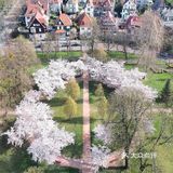 因而该市在语言和文化上兼有法国和德国的特点