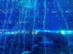 -成都浩海立方海洋公园