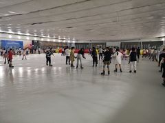 -松江大学城体育馆滑冰馆