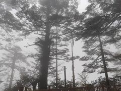 -瓦屋山景区