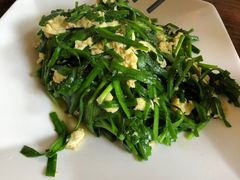 -松声马术俱乐部