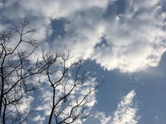 -自然谷恐龙园