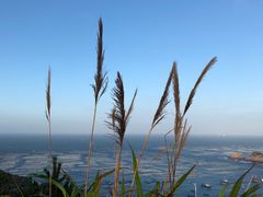 -枸杞岛