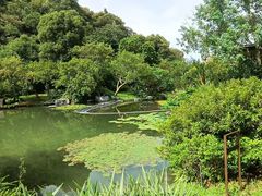 -云溪植物园