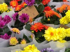 -重庆市江北嘴中央商务区中央公园