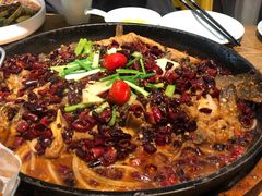 -老板恋上鱼(恒隆广场店)