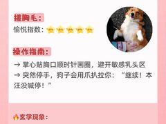-FAELING PETS美天灵宠物(合生汇店)
