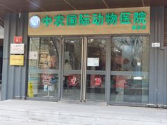 -中农国际动物医院24小时·猫科·骨科·急重症中心