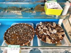 -港畔赶海蒸汽海鲜烧烤自助(仙螺岛店)