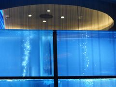 -王家渡火锅店(棕榈泉店)