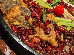 -老板恋上鱼(振华商厦店)