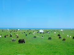 -青海湖国家重点风景名胜区