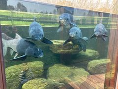 -宁波杭州湾国家湿地公园