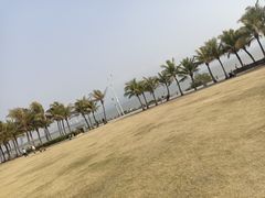 -福田红树林生态公园
