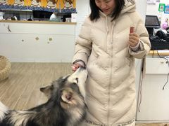 -李小姐の猫咖啡馆(五角场店)